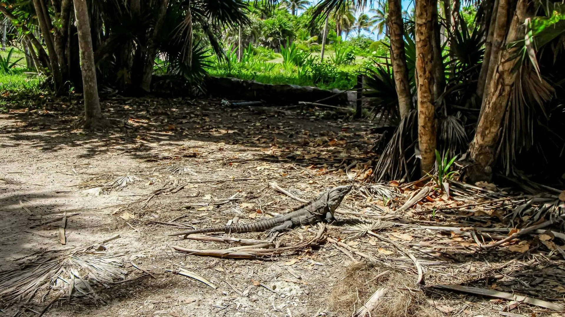 Сasa de vacaciones Villa Tao Edena 90 Tulum México